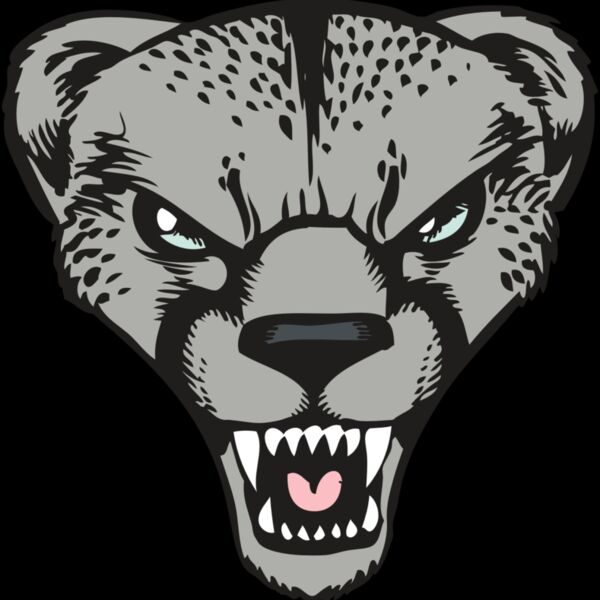 BAW CHEETAH 15 RC Thumbnail