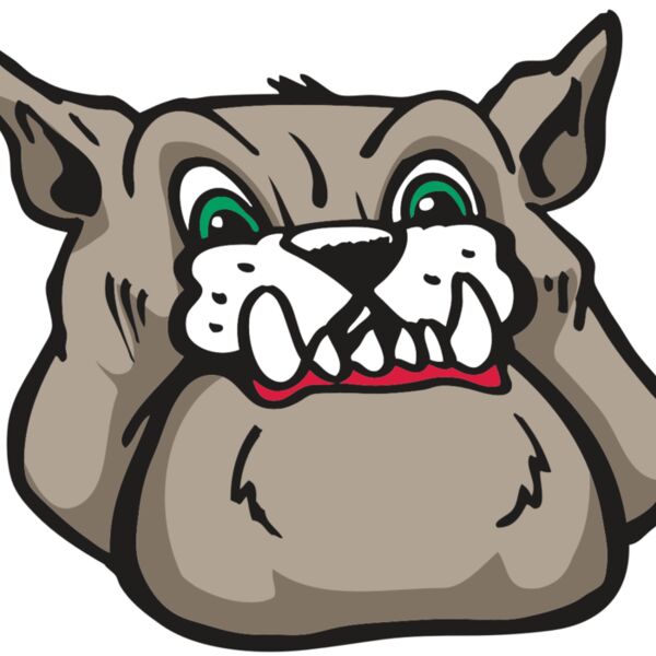 AR BDOG 27 RC Thumbnail