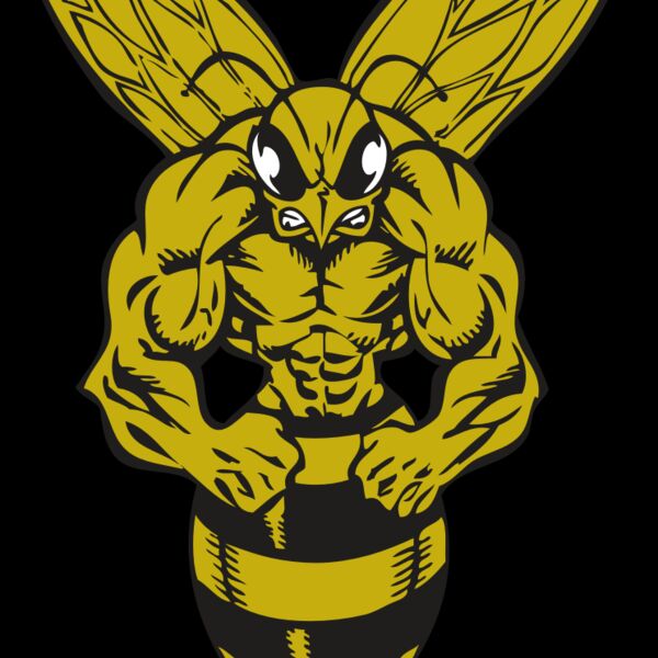 BAW BEE 06 RC Thumbnail