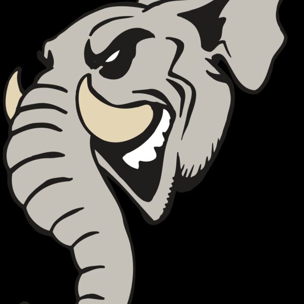 AR5 Elephant 11 RQC Thumbnail