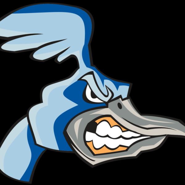 ROADRUNNER HD0503 RQC Thumbnail