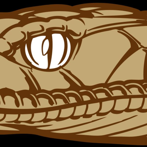 BAW SNAKE 12 RC Thumbnail