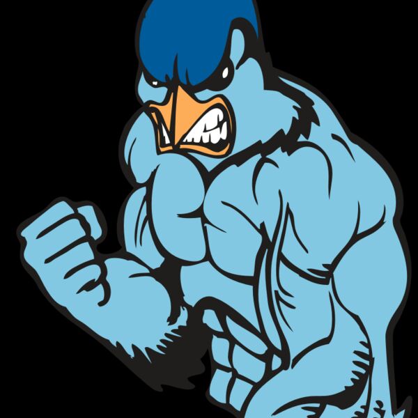 BAW BLUEJAY 13 RC Thumbnail