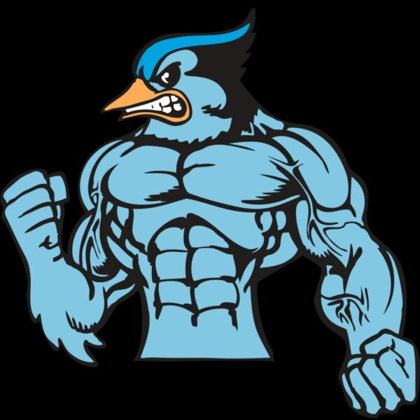 BAW BLUEJAY 16 RC Thumbnail