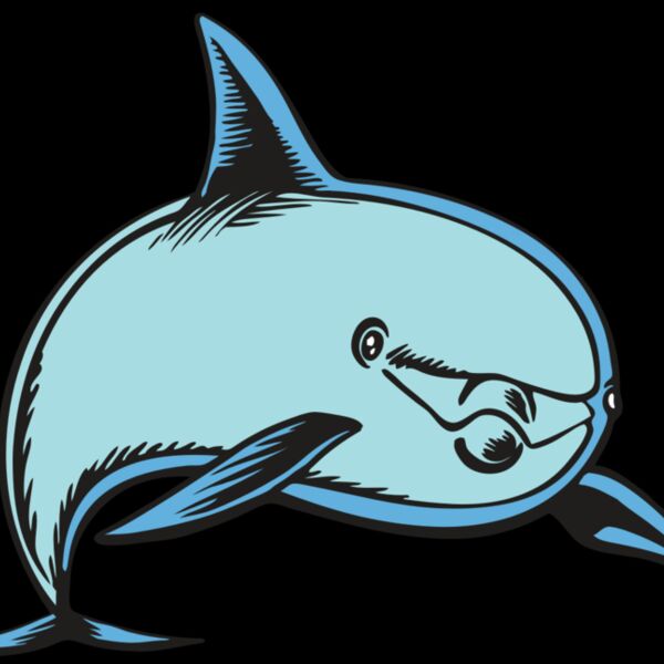 BAW DOLPHIN 04 RC Thumbnail